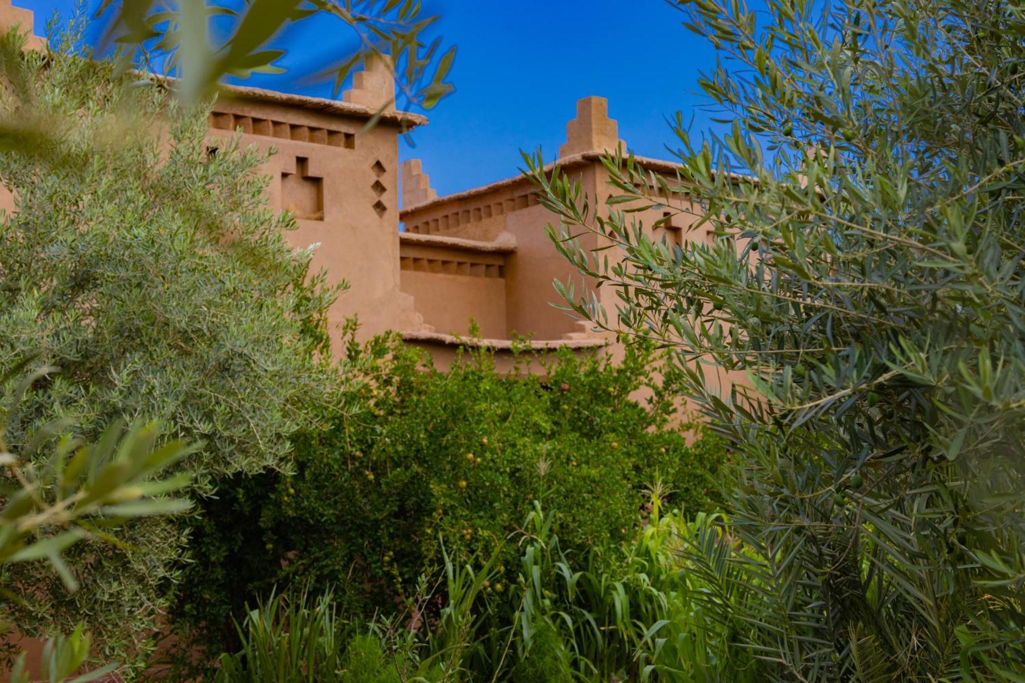Maison D'Hote Amridil Skoura Exterior photo