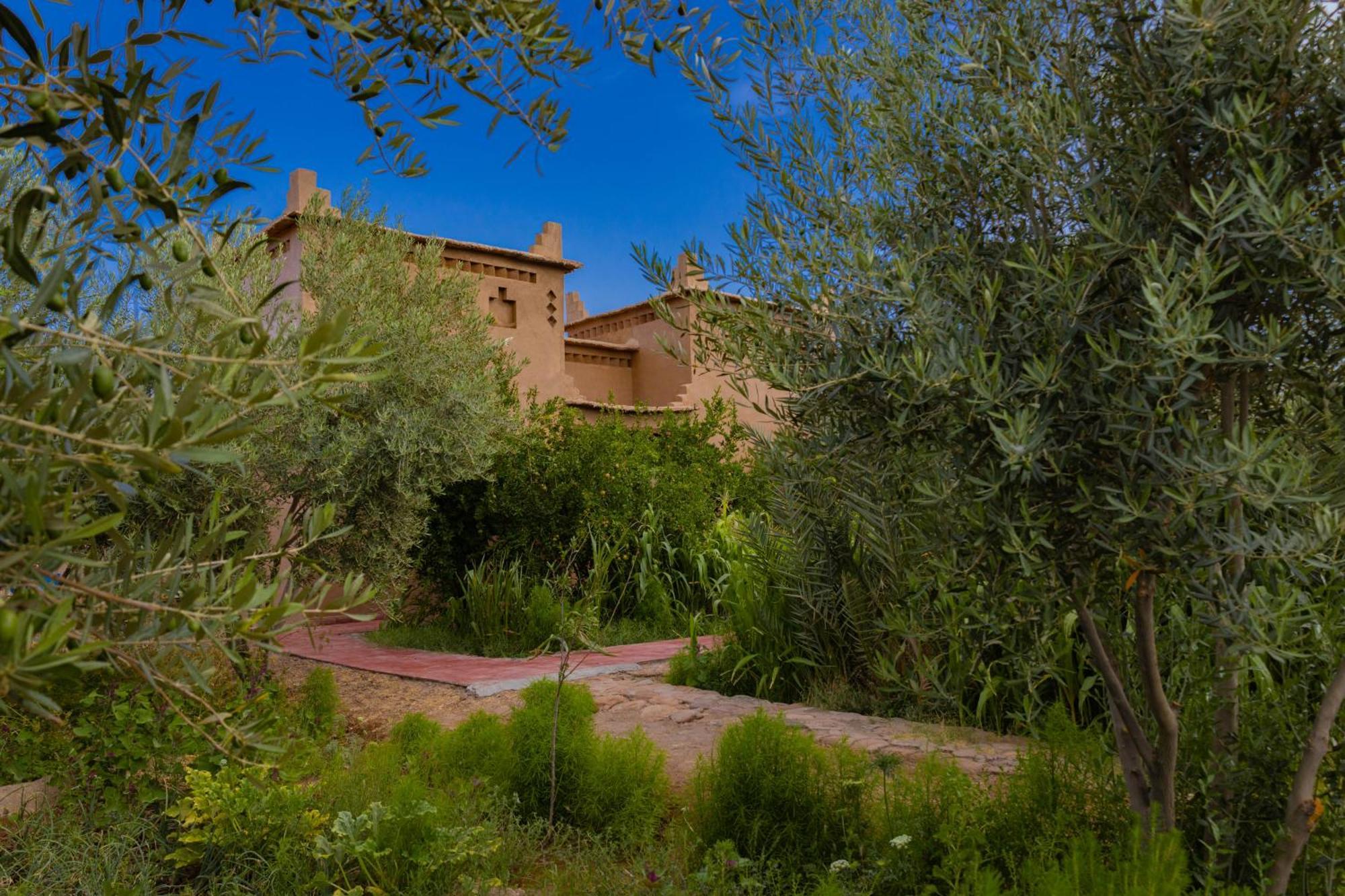 Maison D'Hote Amridil Skoura Exterior photo