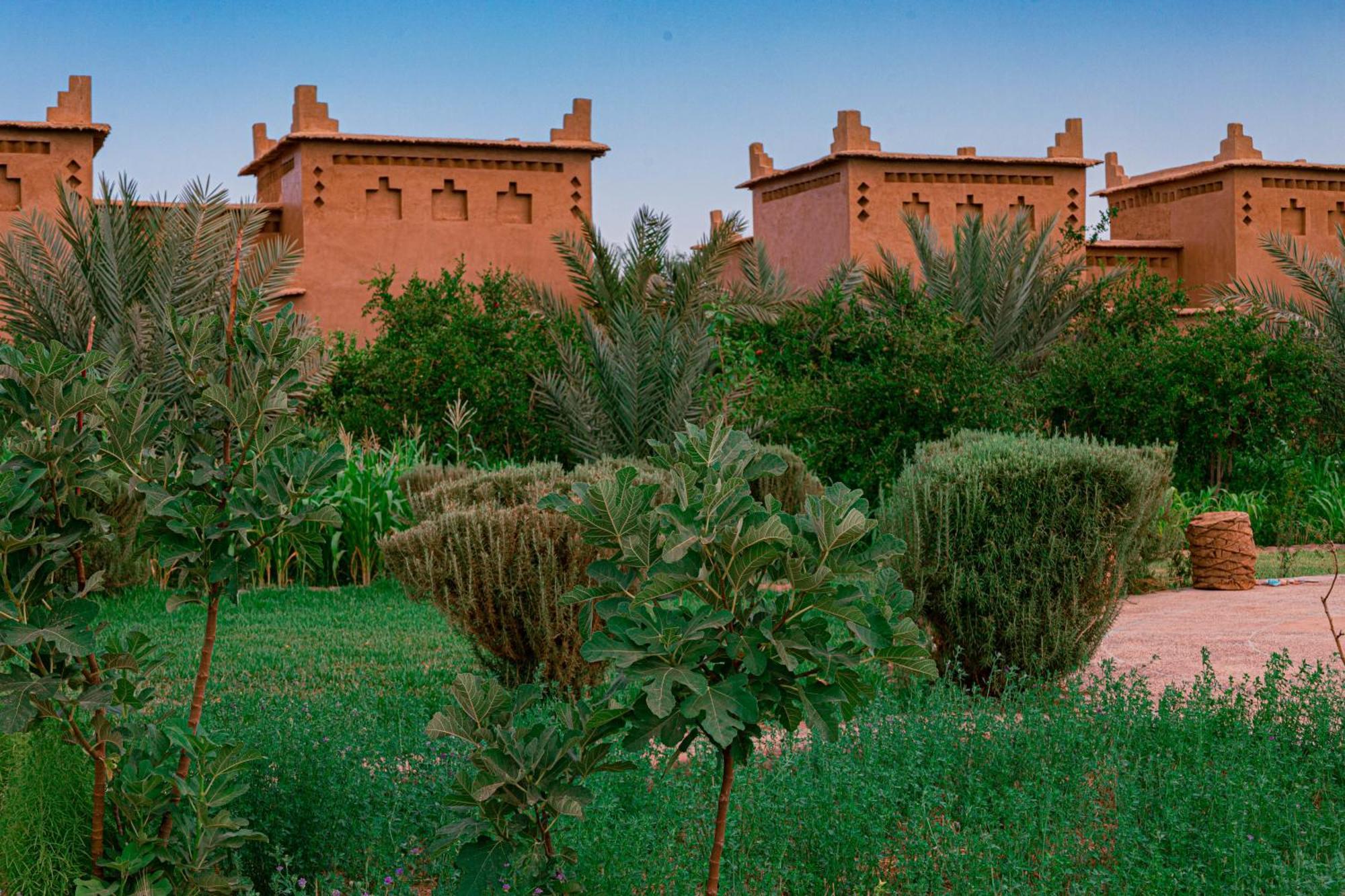 Maison D'Hote Amridil Skoura Exterior photo